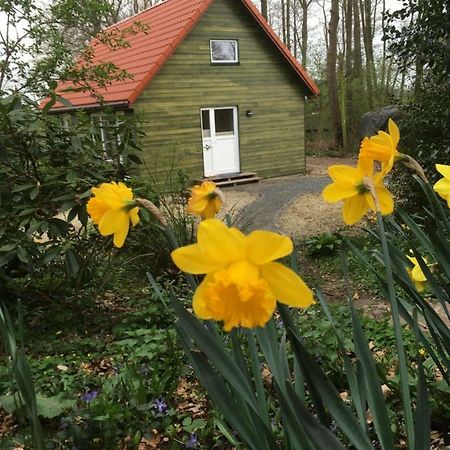 Villa Heil-Haus-Ohlenbusch Worpswede Exterior foto