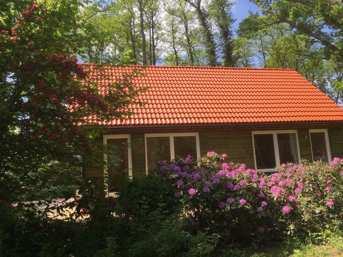 Villa Heil-Haus-Ohlenbusch Worpswede Exterior foto